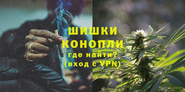 сатива Новокубанск
