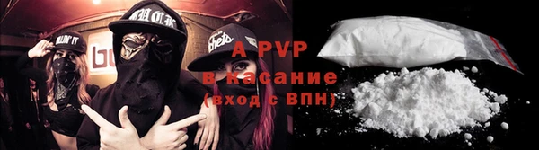 сатива Новокубанск