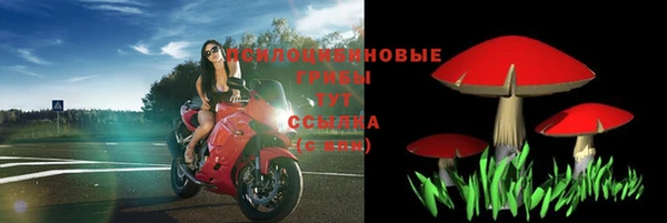 трава Новозыбков