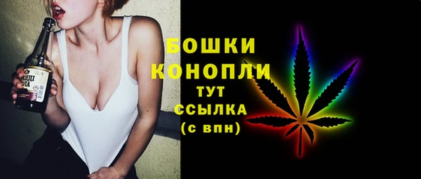 не бодяженный Новодвинск