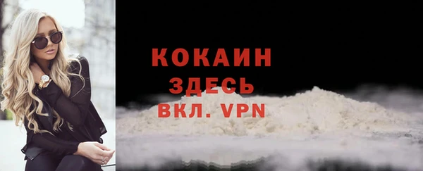 не бодяженный Новодвинск