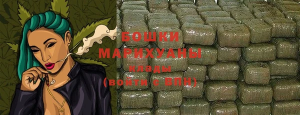 сатива Новокубанск
