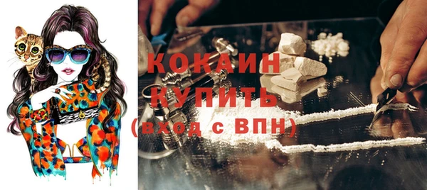 сатива Новокубанск