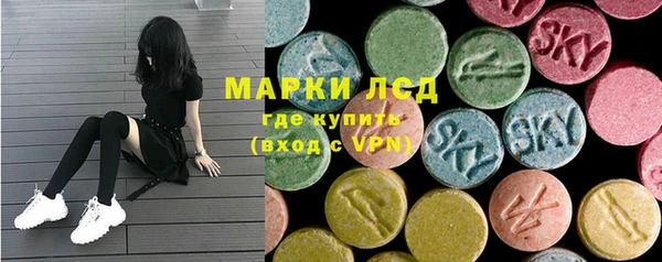трава Новозыбков