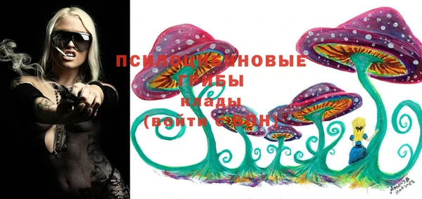 сатива Новокубанск